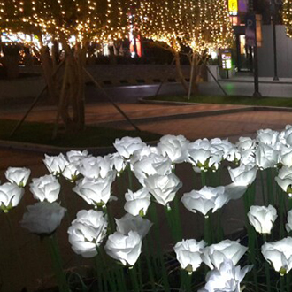 LED ROSE ST10