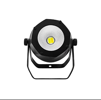 LED COB 200W  PAR IP65